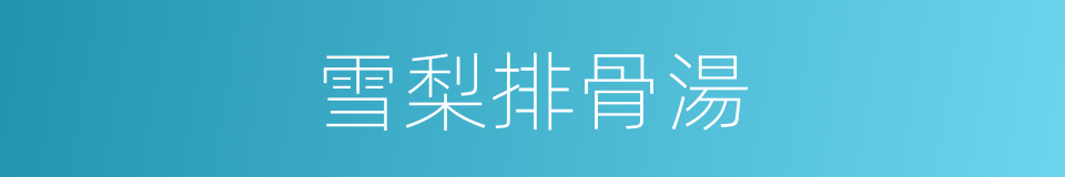 雪梨排骨湯的同義詞