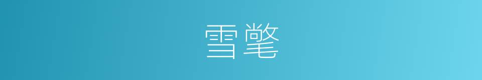 雪氅的意思