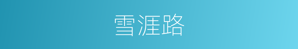 雪涯路的同义词