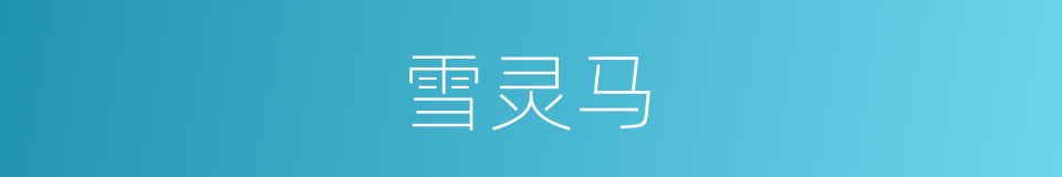 雪灵马的同义词