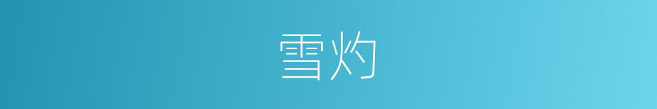 雪灼的同义词