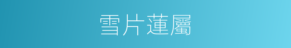 雪片蓮屬的同義詞