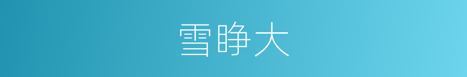 雪睁大的同义词
