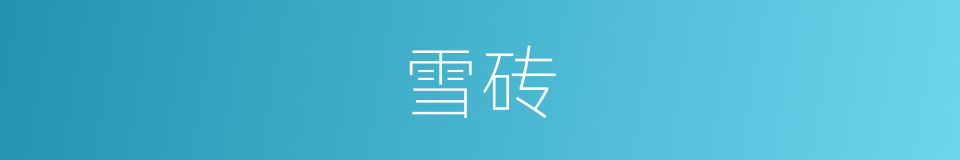 雪砖的同义词