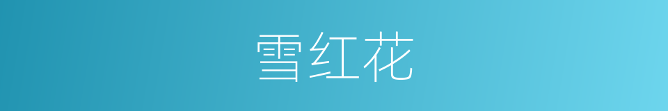 雪红花的同义词