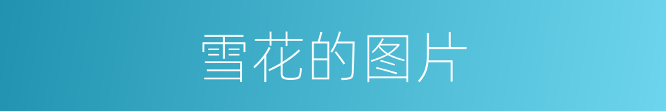 雪花的图片的同义词