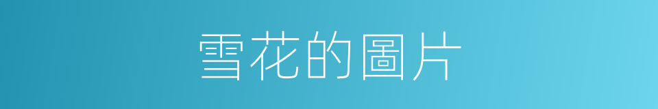 雪花的圖片的同義詞