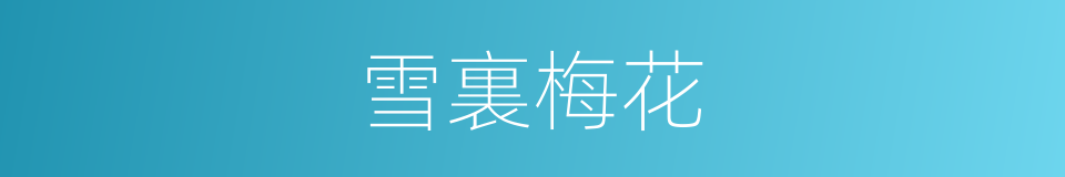 雪裏梅花的同義詞