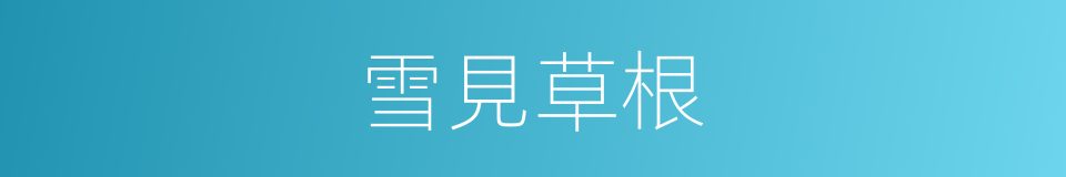 雪見草根的同義詞