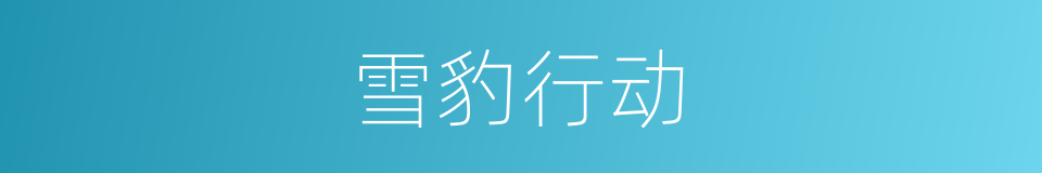 雪豹行动的同义词