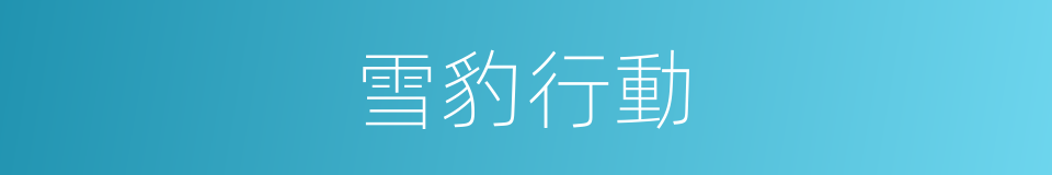 雪豹行動的同義詞