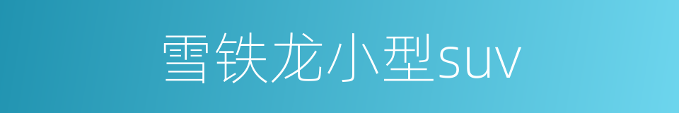 雪铁龙小型suv的同义词