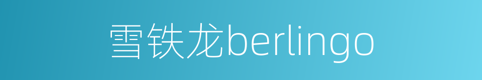 雪铁龙berlingo的同义词