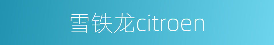 雪铁龙citroen的同义词