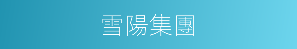 雪陽集團的同義詞