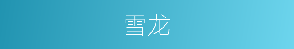 雪龙的同义词