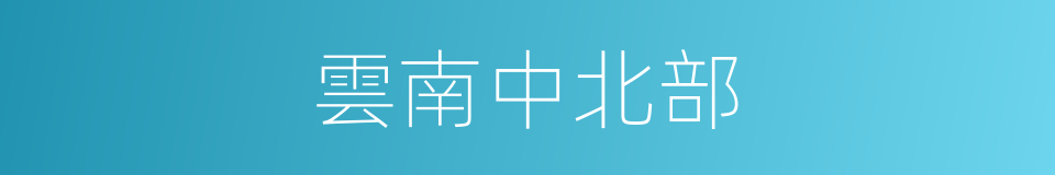 雲南中北部的同義詞