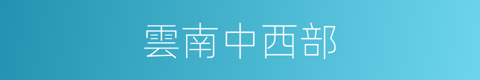 雲南中西部的同義詞