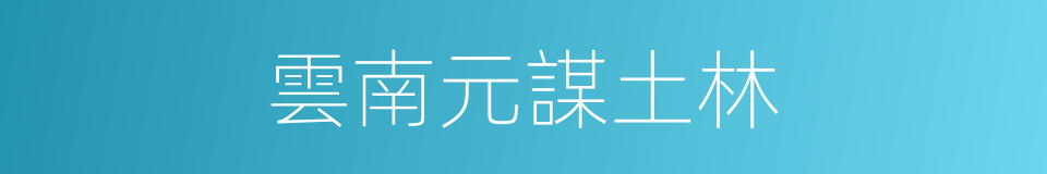雲南元謀土林的同義詞