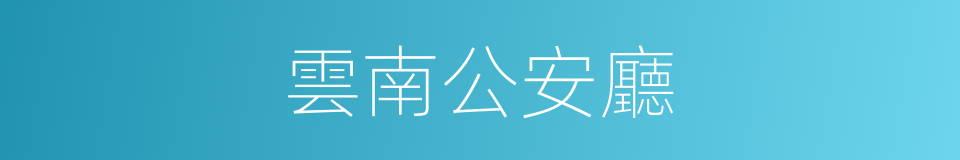 雲南公安廳的同義詞