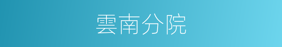 雲南分院的同義詞