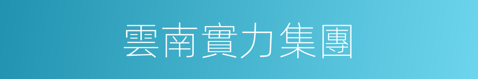 雲南實力集團的同義詞