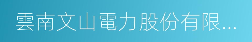 雲南文山電力股份有限公司的同義詞