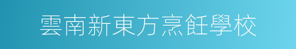 雲南新東方烹飪學校的同義詞