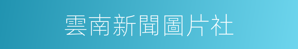 雲南新聞圖片社的同義詞