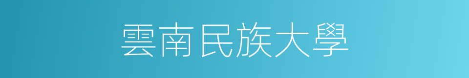 雲南民族大學的同義詞