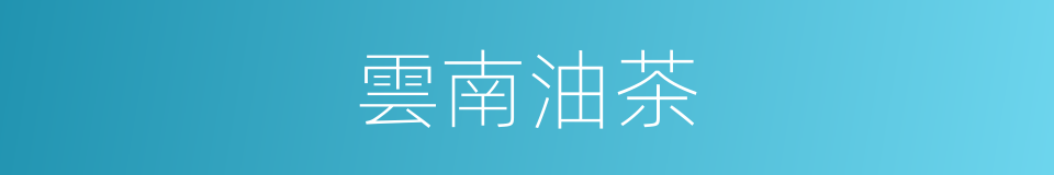 雲南油茶的同義詞