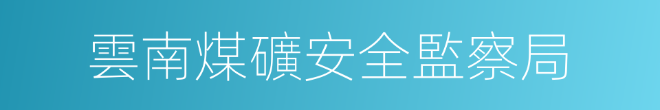 雲南煤礦安全監察局的同義詞