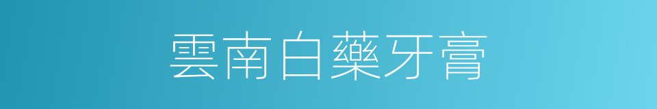 雲南白藥牙膏的同義詞