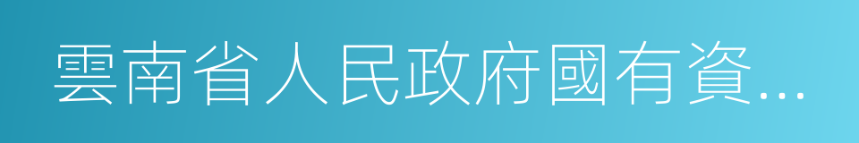 雲南省人民政府國有資產監督管理委員會的同義詞