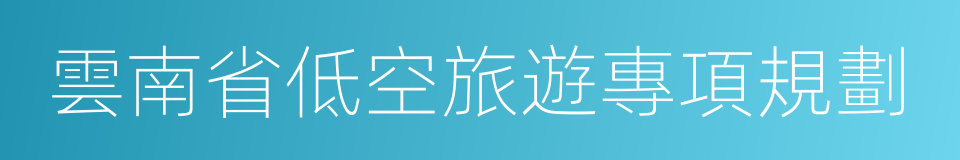 雲南省低空旅遊專項規劃的同義詞