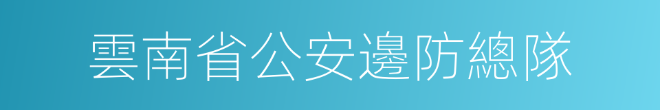 雲南省公安邊防總隊的同義詞