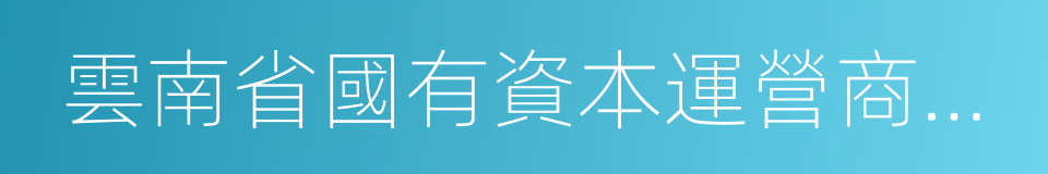 雲南省國有資本運營商城管理有限公司的同義詞