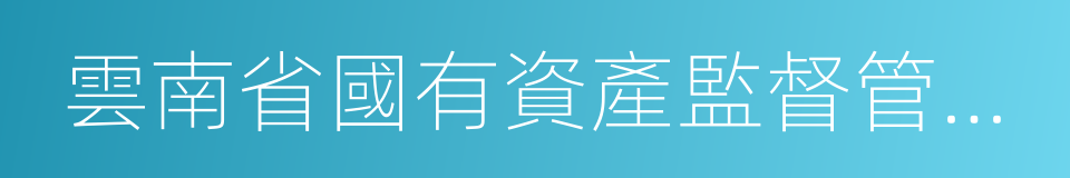 雲南省國有資產監督管理委員會的同義詞