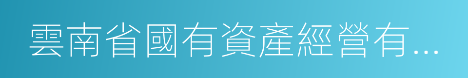 雲南省國有資產經營有限責任公司的同義詞