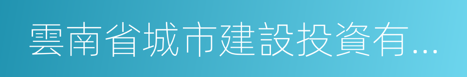 雲南省城市建設投資有限公司的同義詞