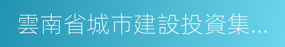 雲南省城市建設投資集團有限公司的同義詞