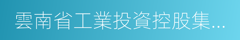 雲南省工業投資控股集團有限責任公司的同義詞