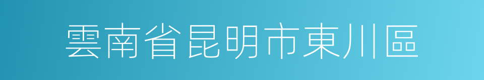 雲南省昆明市東川區的同義詞