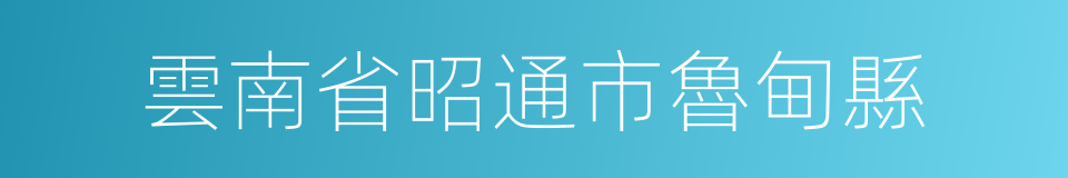 雲南省昭通市魯甸縣的同義詞