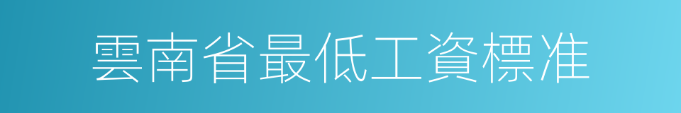 雲南省最低工資標准的同義詞
