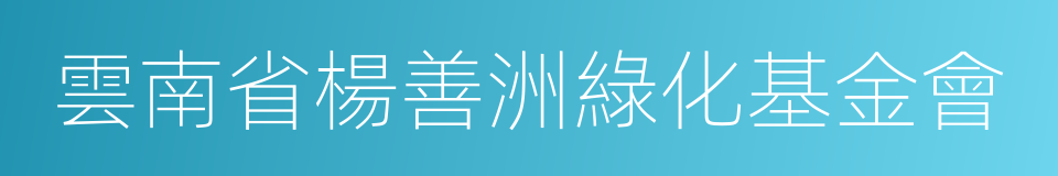 雲南省楊善洲綠化基金會的同義詞