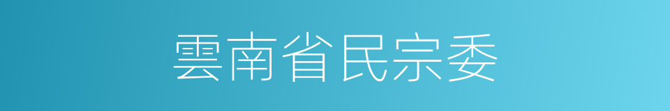雲南省民宗委的同義詞