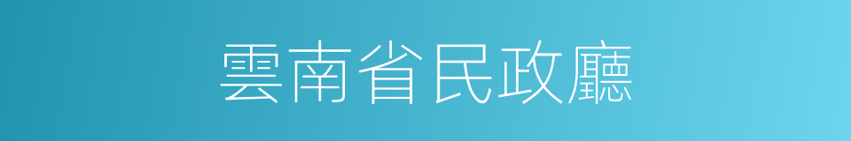 雲南省民政廳的同義詞