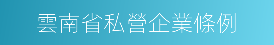 雲南省私營企業條例的同義詞