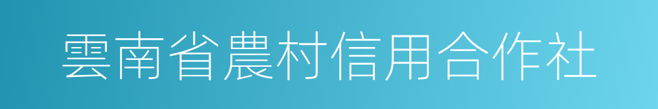 雲南省農村信用合作社的同義詞